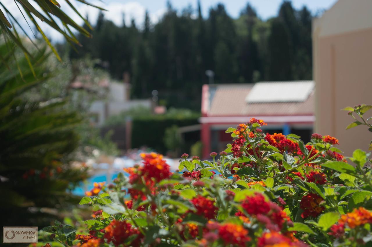 Olympion Village Kávos Eksteriør bilde